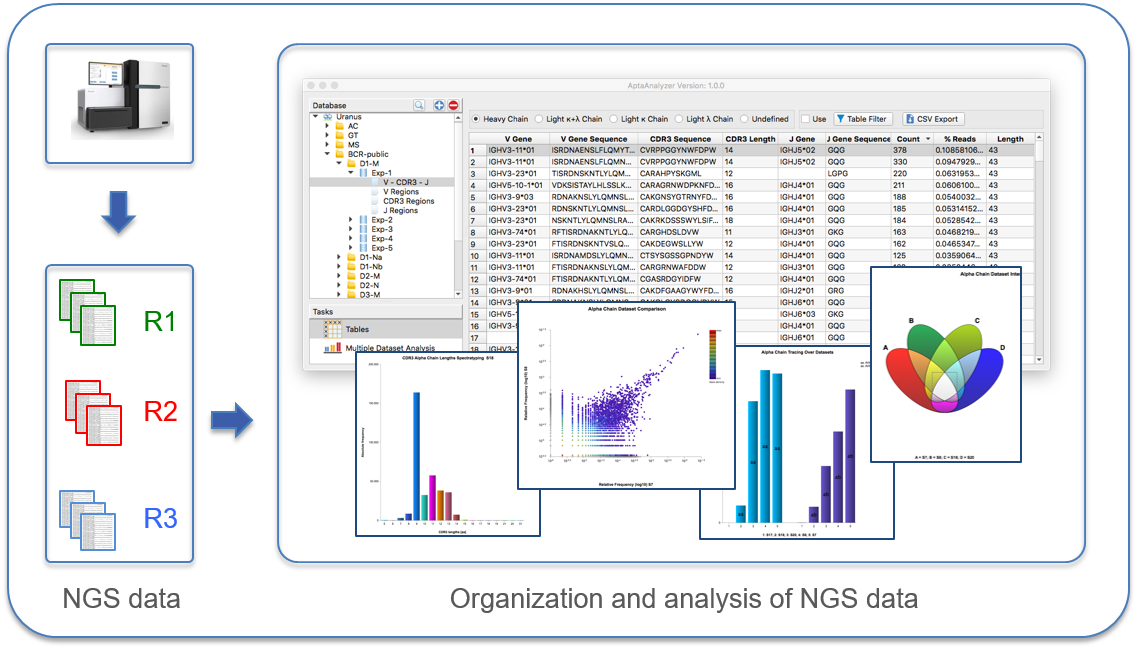 NGS data analysis_Phage Display